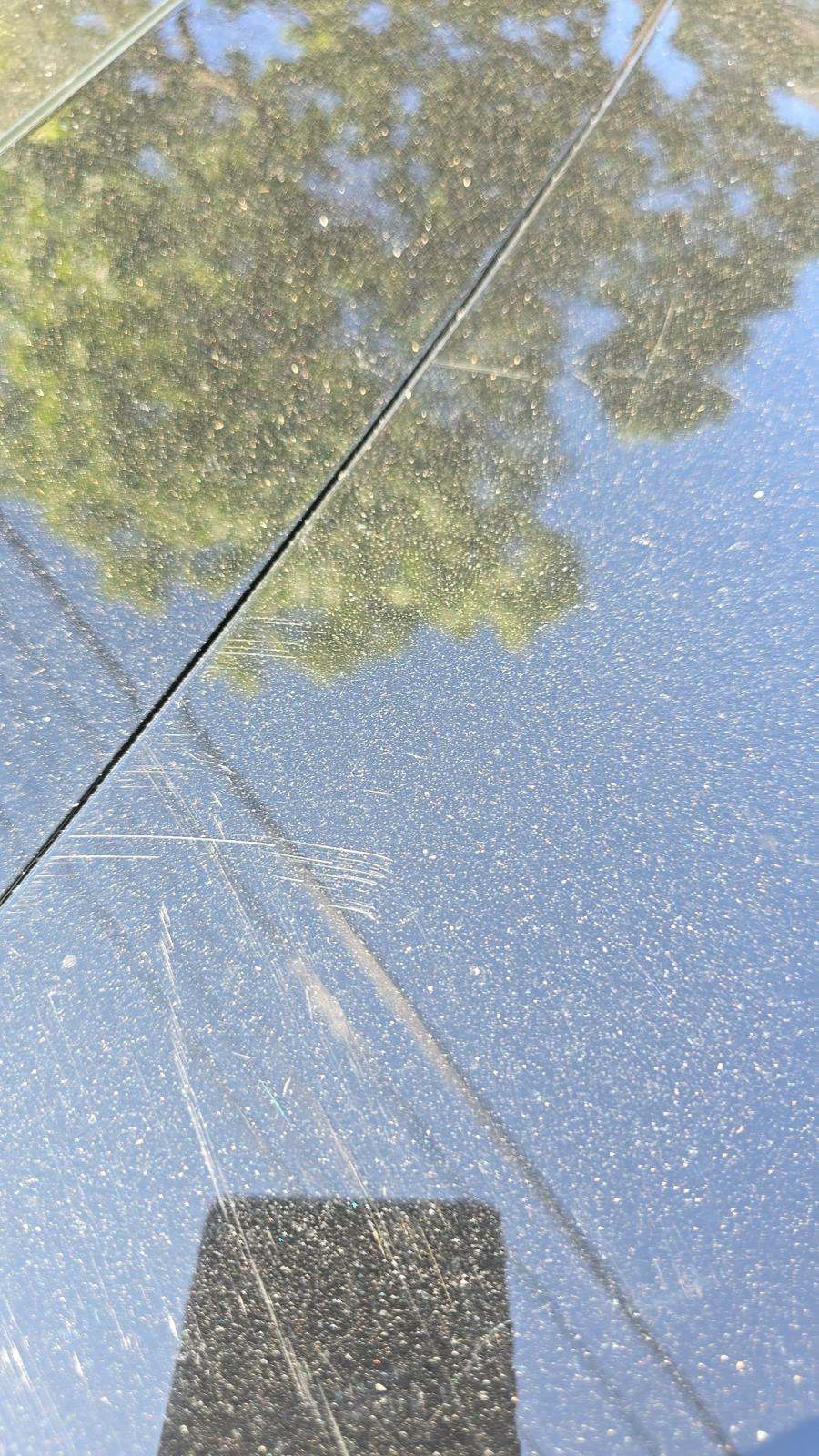 2021 Hyundai Elantra SEL FWD