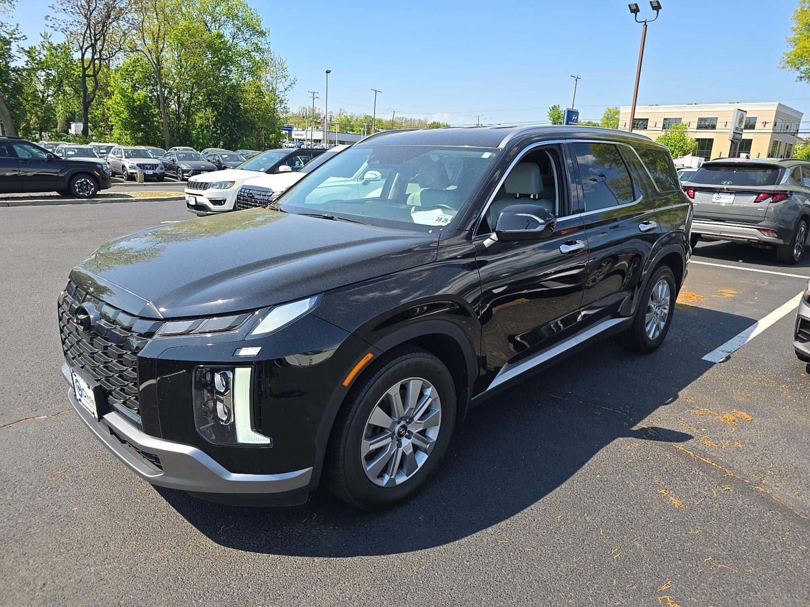 HYUNDAI PALISADE - 1
