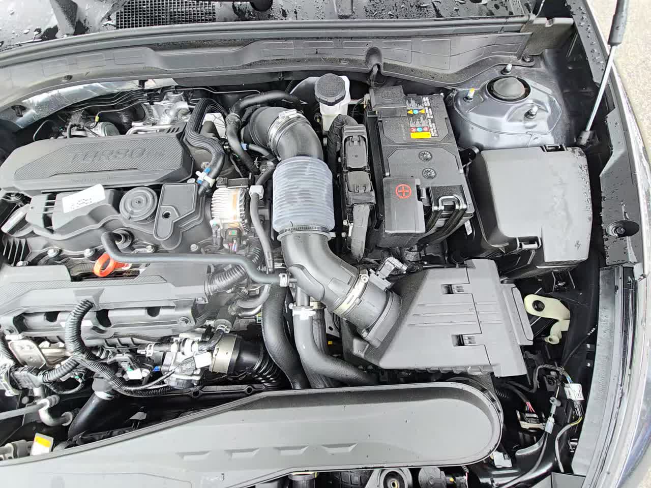 2023 Hyundai Sonata SEL Plus FWD