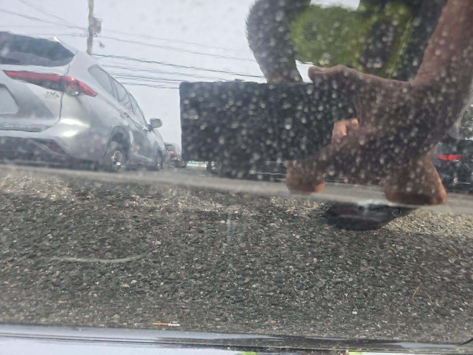 2023 Toyota Sienna Platinum AWD