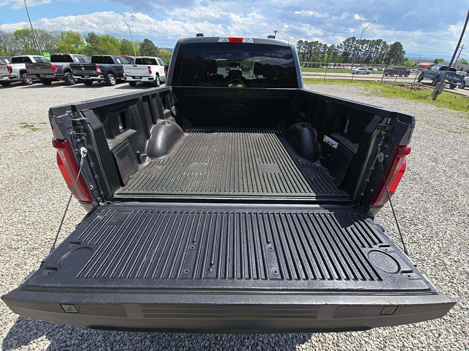 FORD F-150 - 10