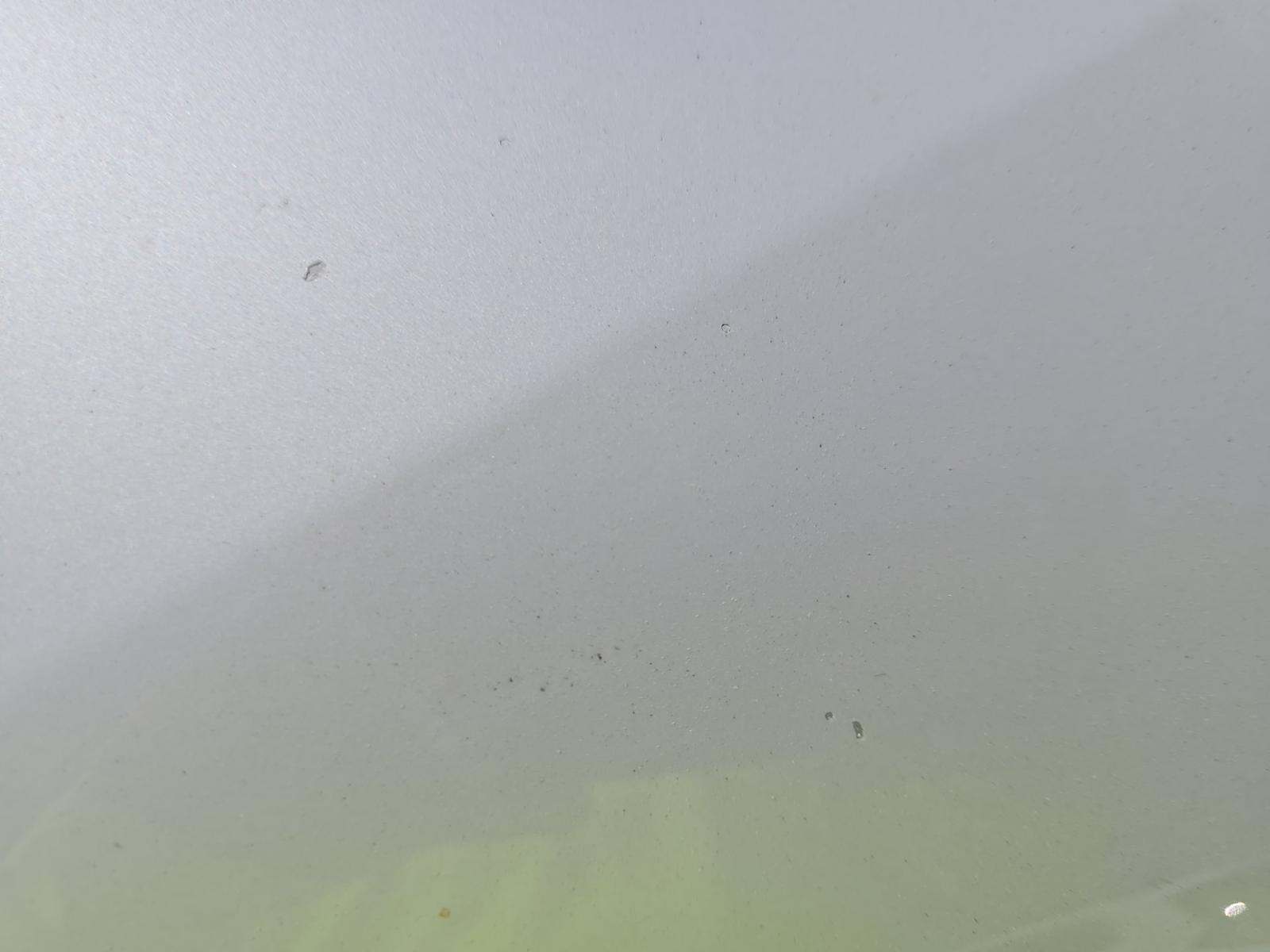 2019 BMW X7 xDrive50i AWD