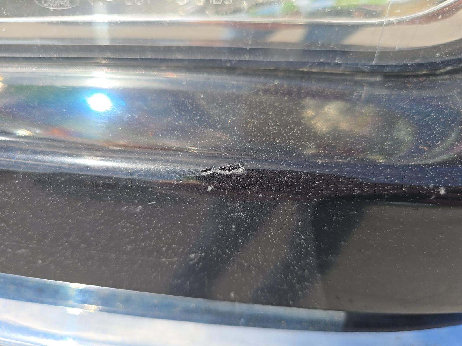 2019 Ford F-150 XLT AWD