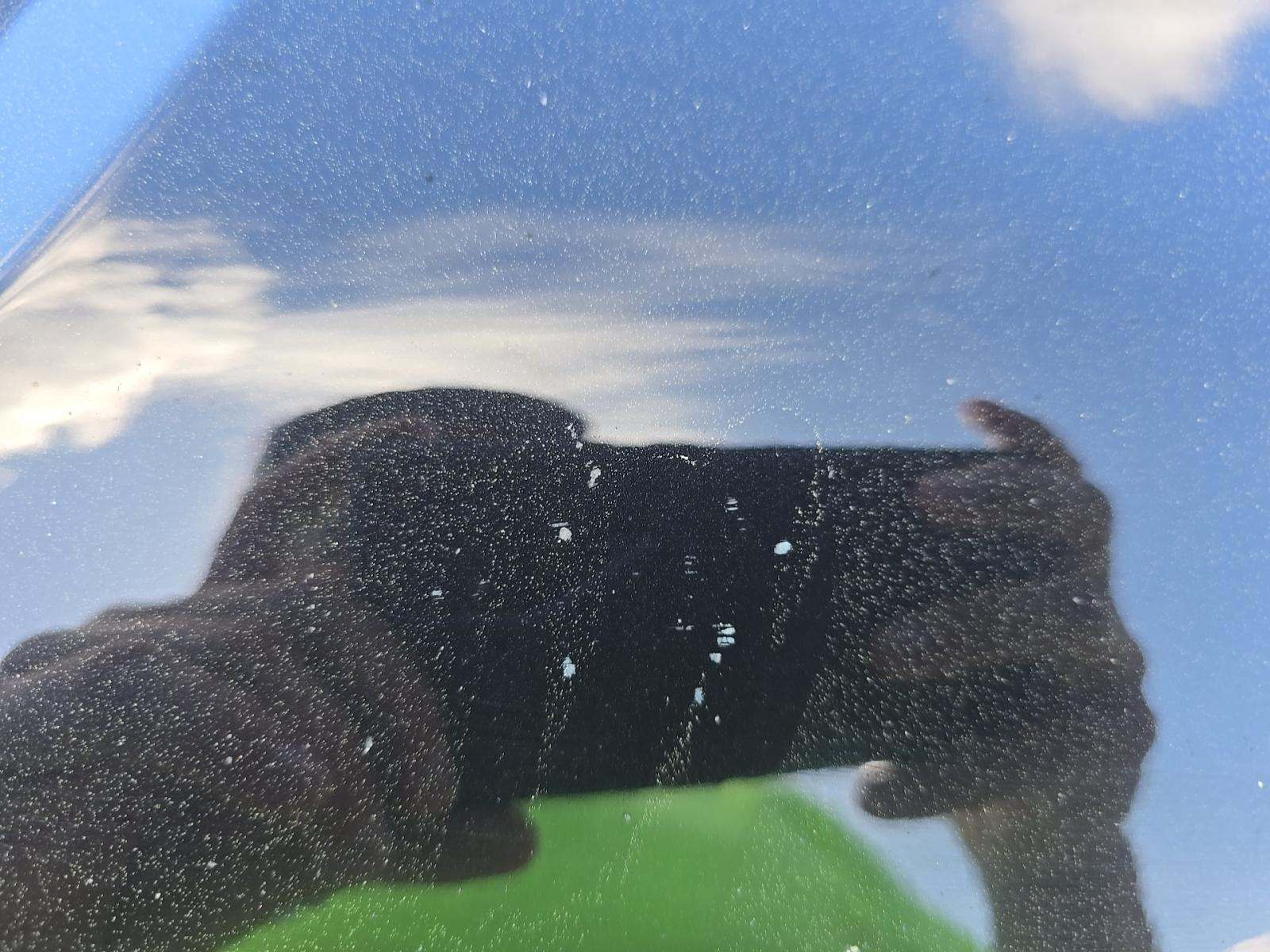 2019 Ford F-150 XLT AWD