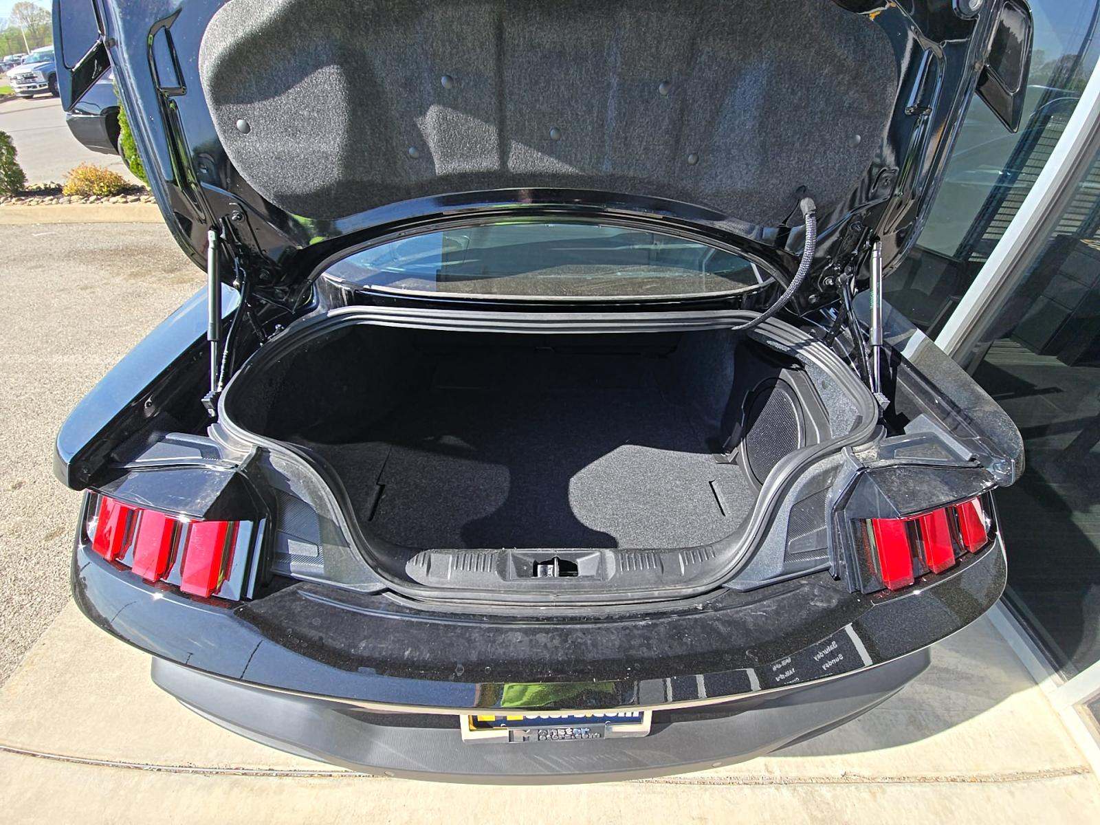 2025 Ford Mustang Dark Horse RWD