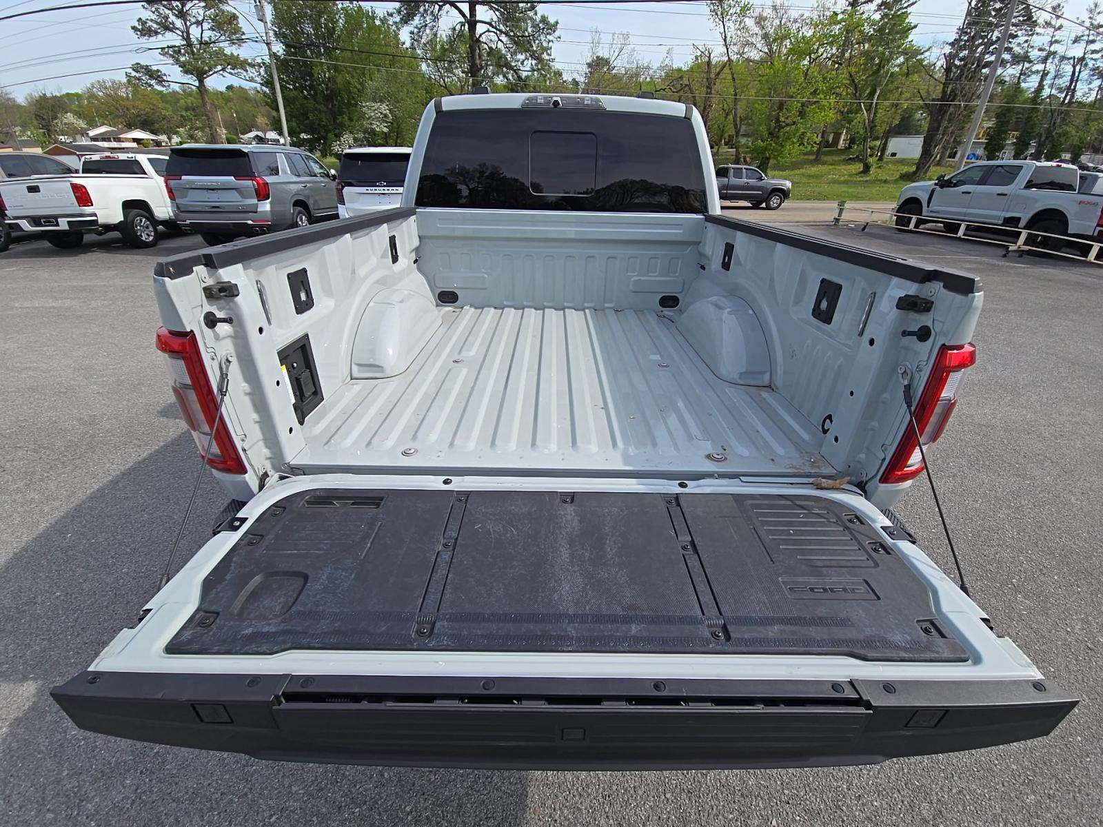 FORD F-150 - 10