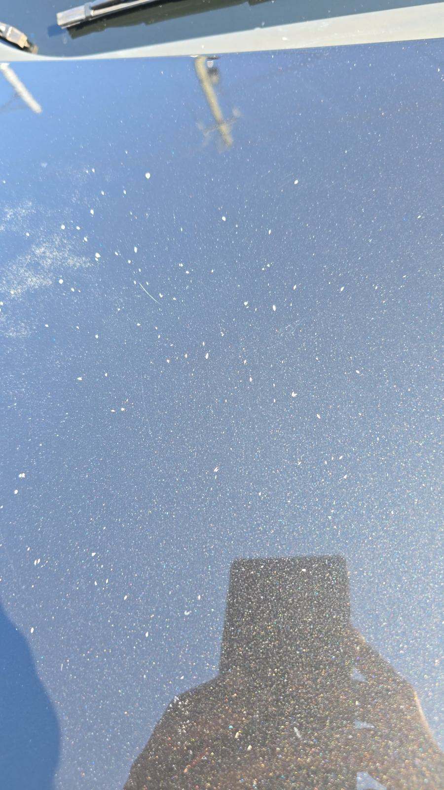 2012 MAZDA MAZDA3 MAZDASPEED3 Touring FWD