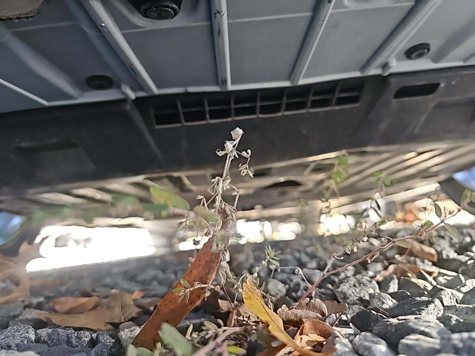 2023 Honda Civic Sport FWD