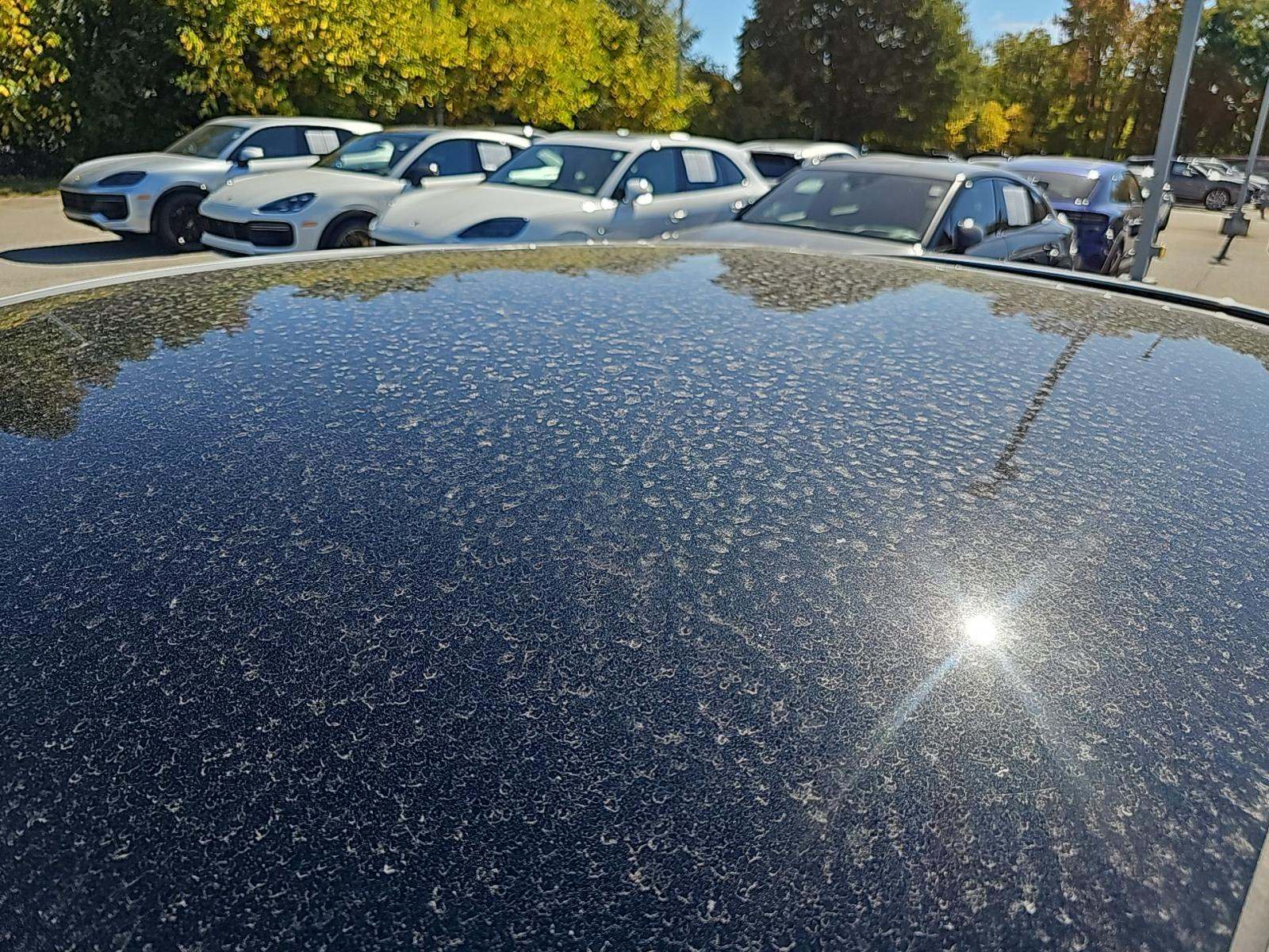 2023 Porsche Cayenne Base AWD