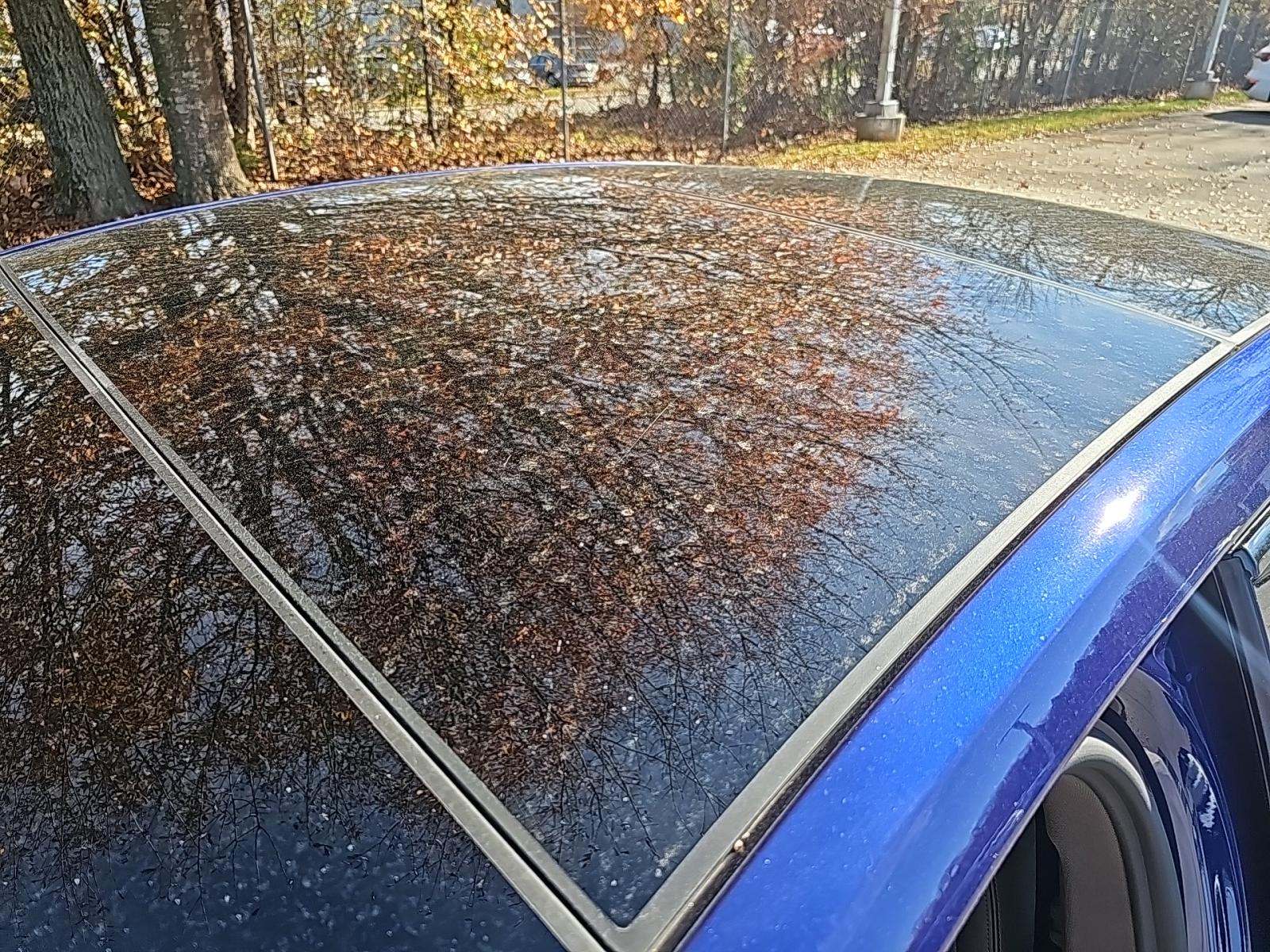 2023 Porsche Panamera Platinum Edition RWD