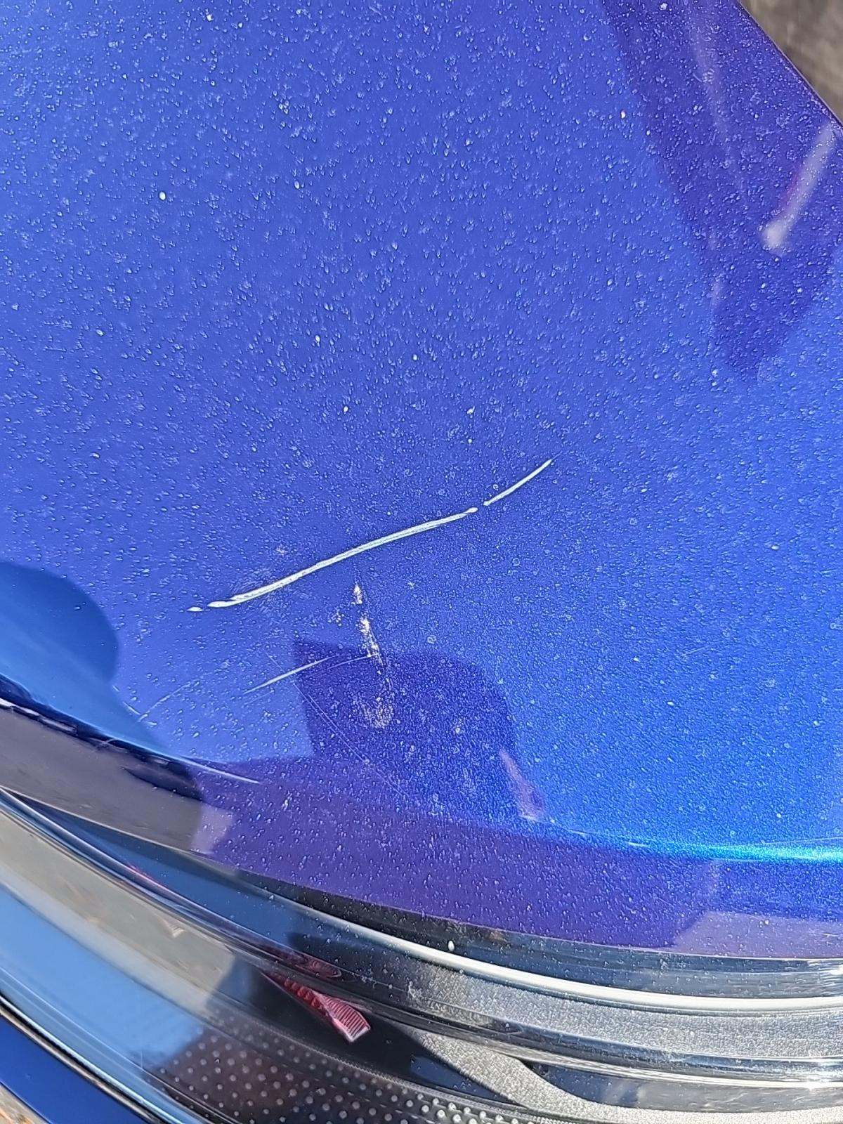 2023 Porsche Panamera Platinum Edition RWD