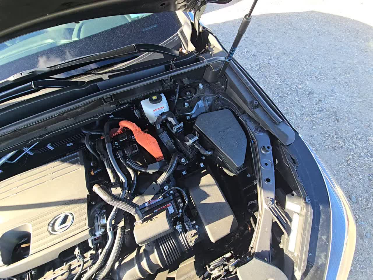 2025 Lexus NX NX 350h Premium AWD