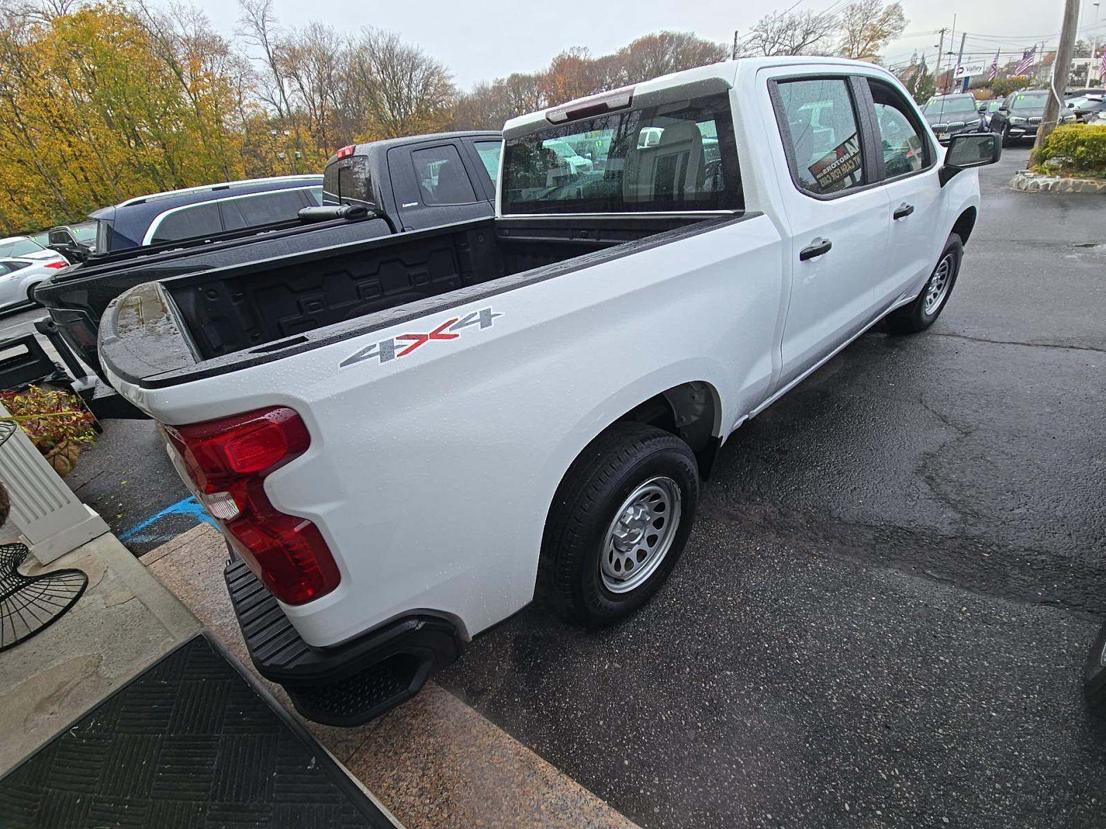 2020 Chevrolet Silverado 1500 Work Truck AWD