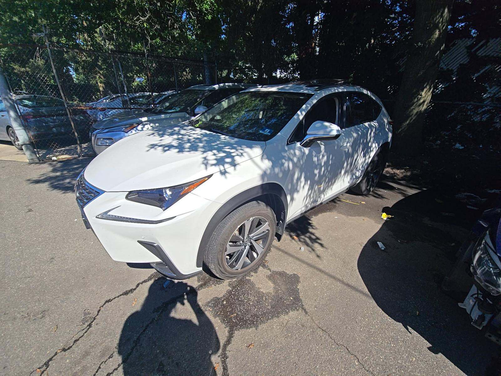 2020 Lexus NX NX 300h AWD