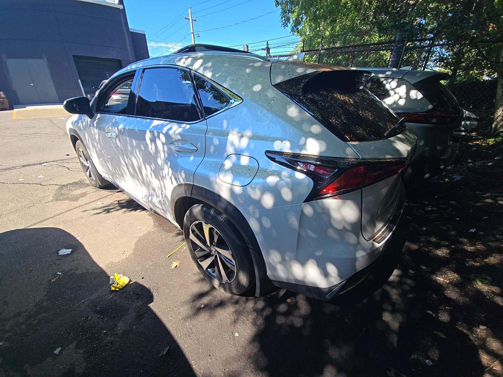 2020 Lexus NX NX 300h AWD