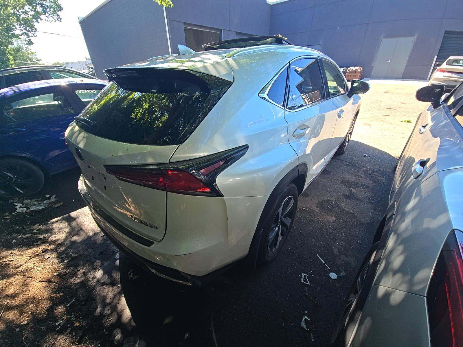 2020 Lexus NX NX 300h AWD