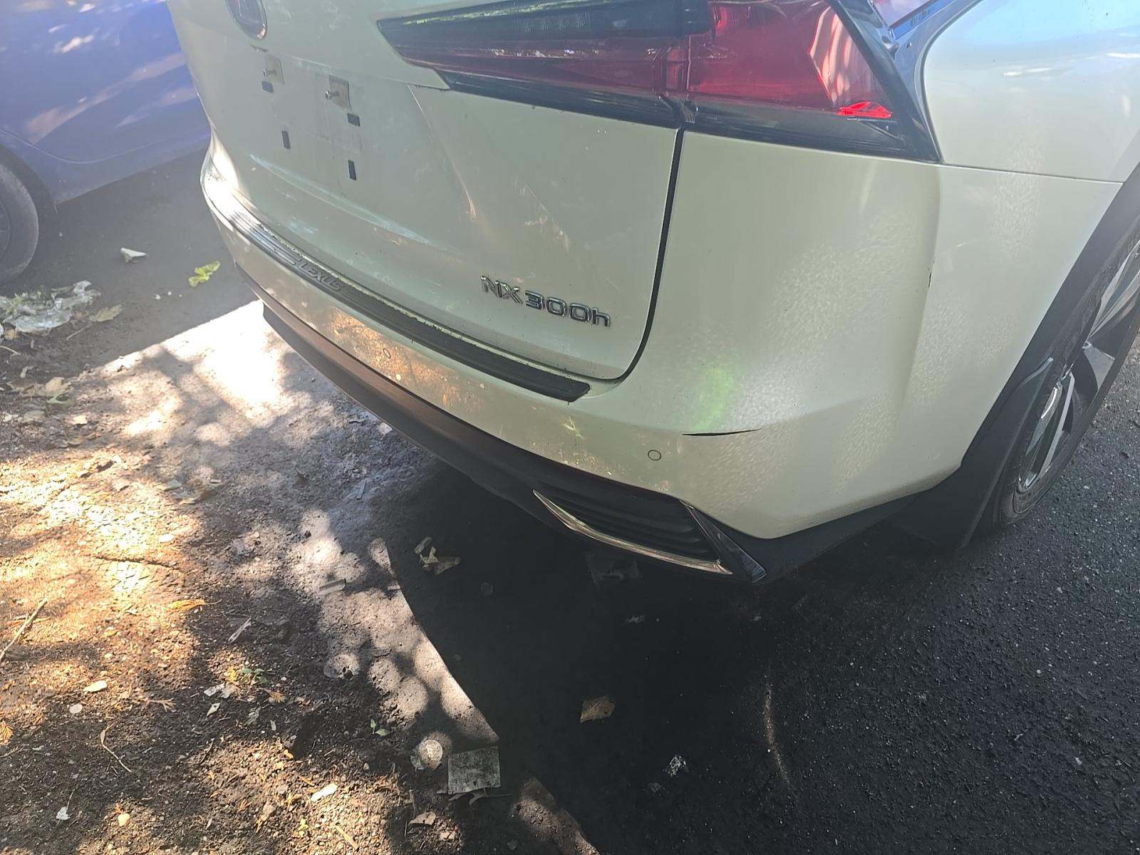 2020 Lexus NX NX 300h AWD