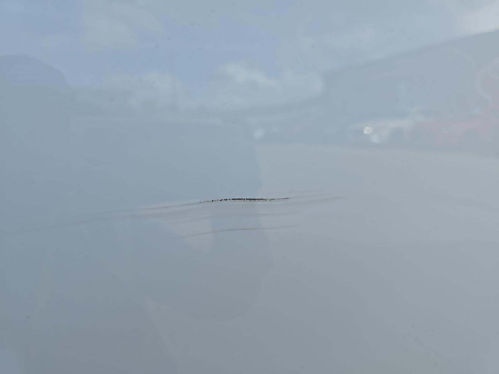 2024 Ford F-150 Hybrid XLT AWD