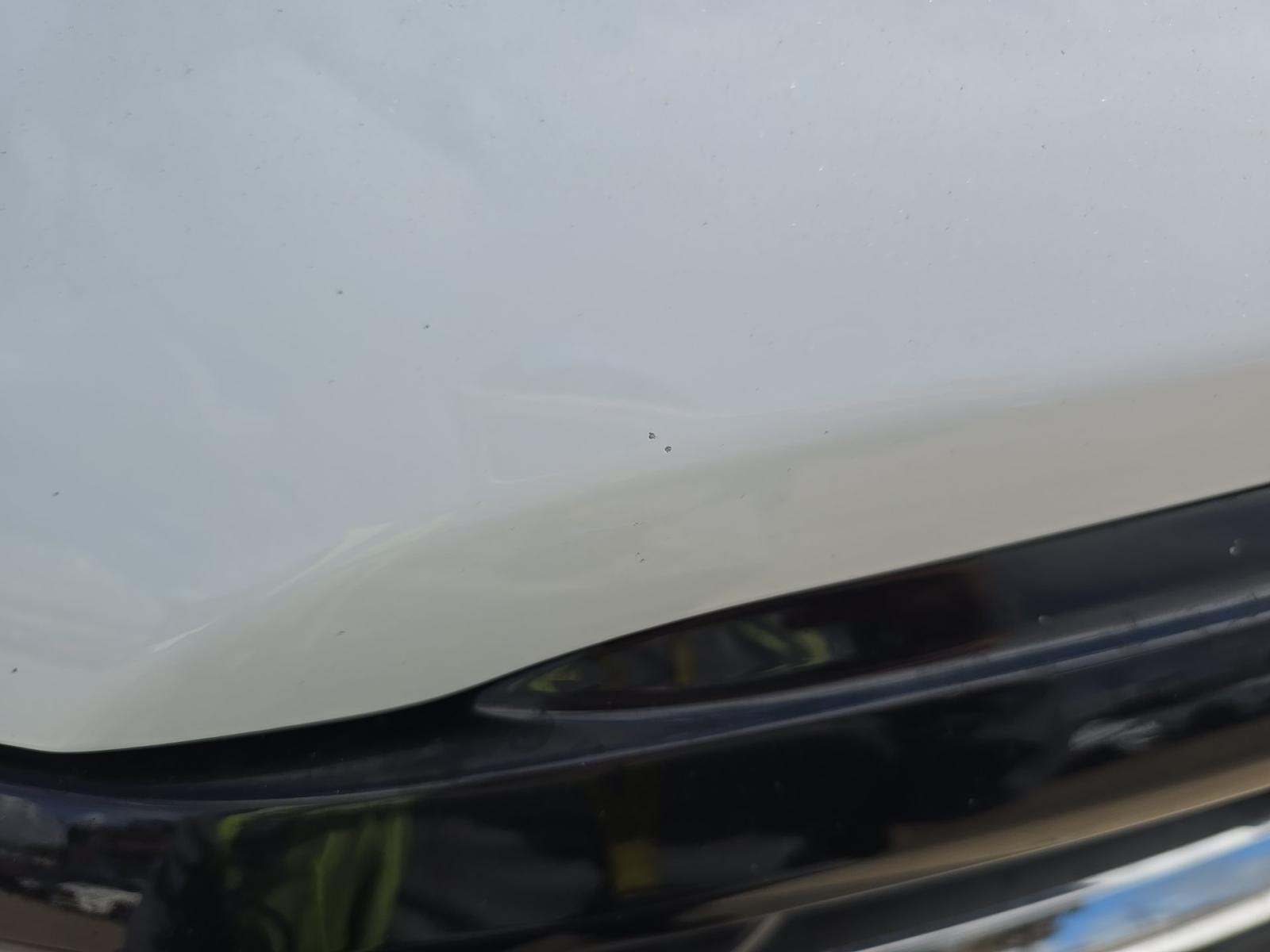 2024 Ford F-150 Hybrid XLT AWD