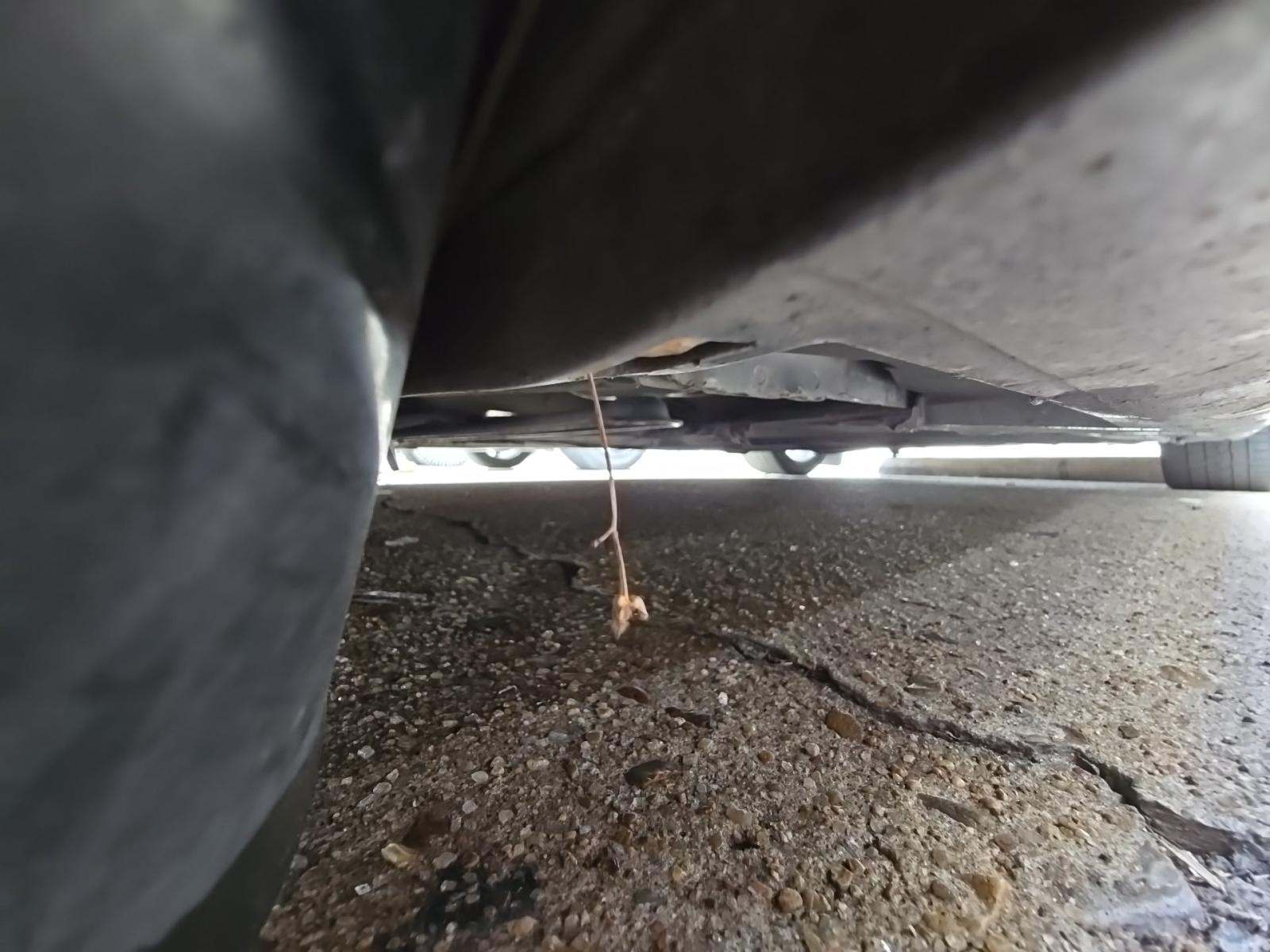 2016 Ford Focus ST FWD