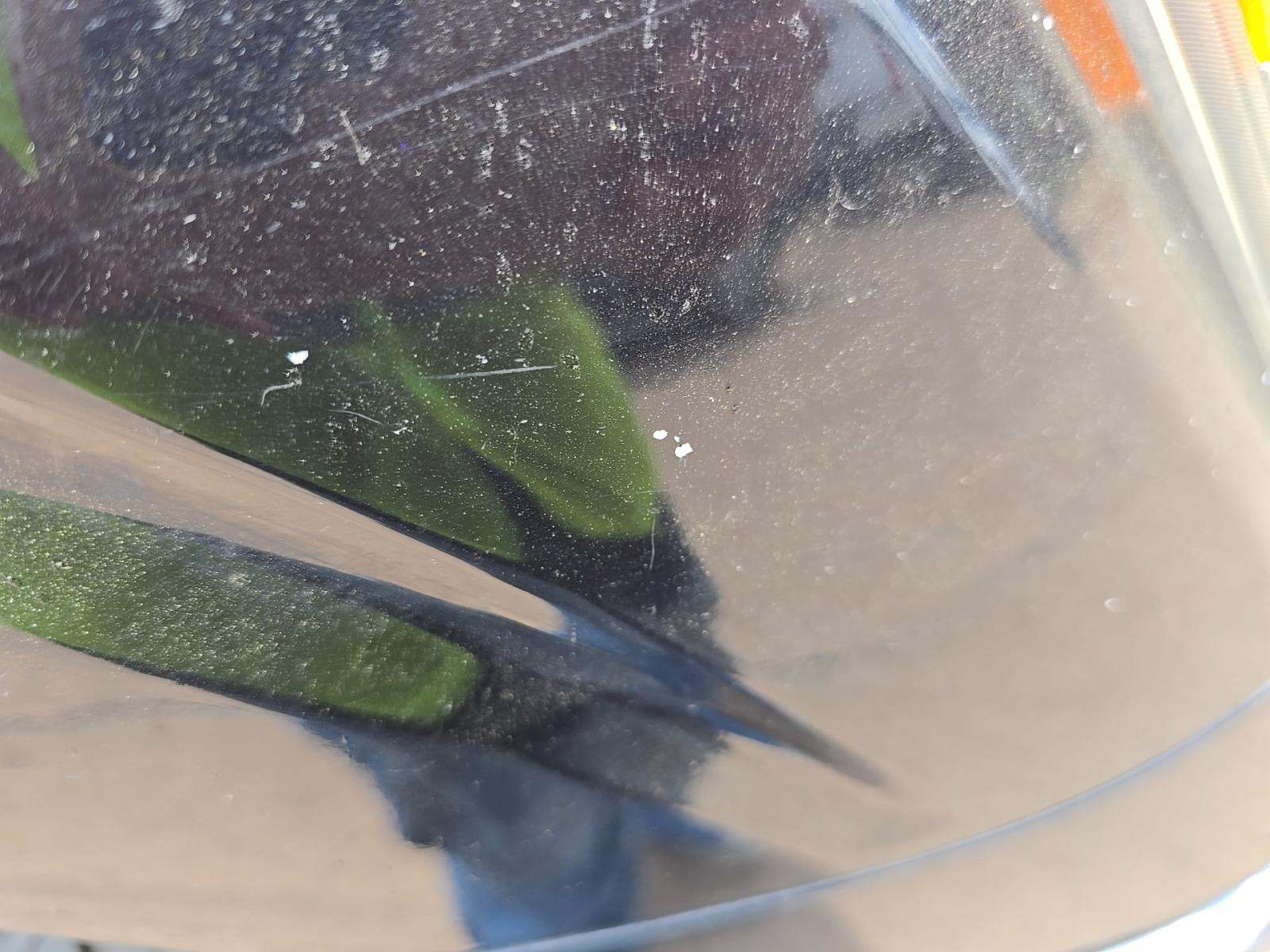 2021 Ford F-150 XLT RWD