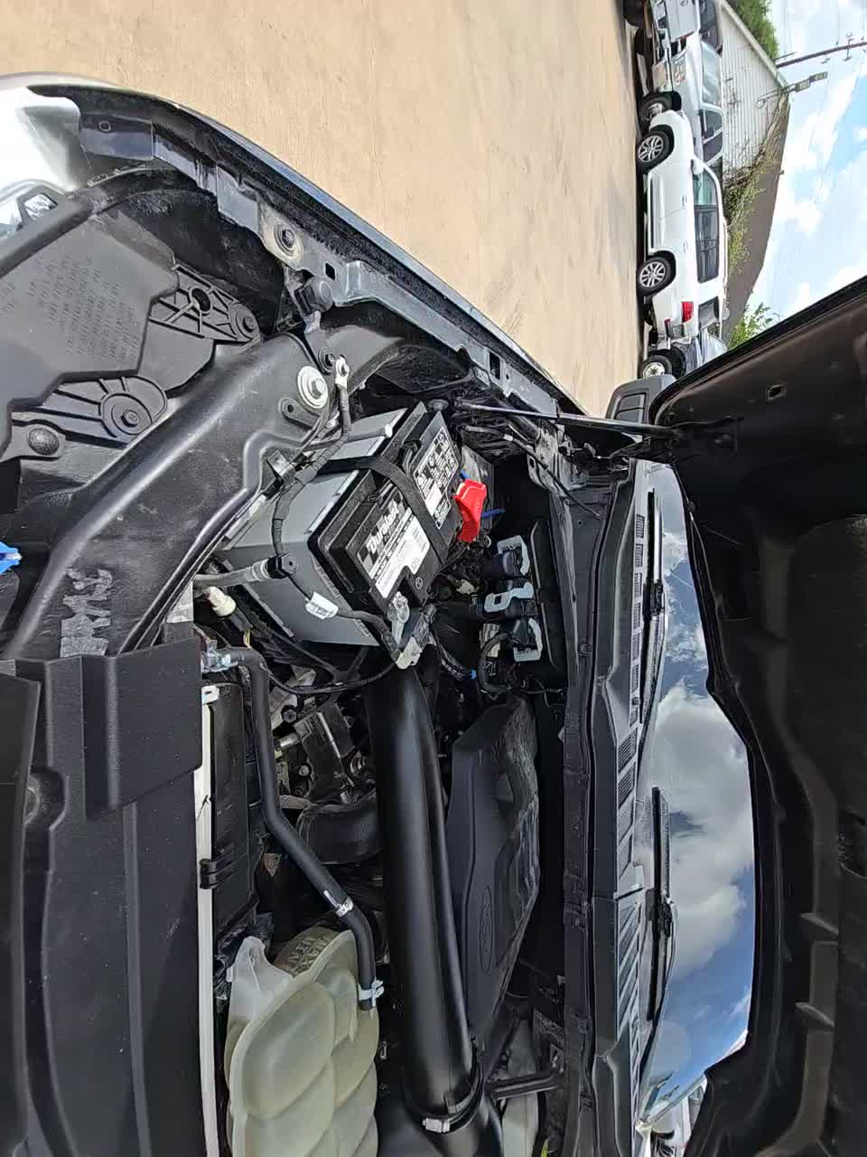 2021 Ford F-150 XLT RWD