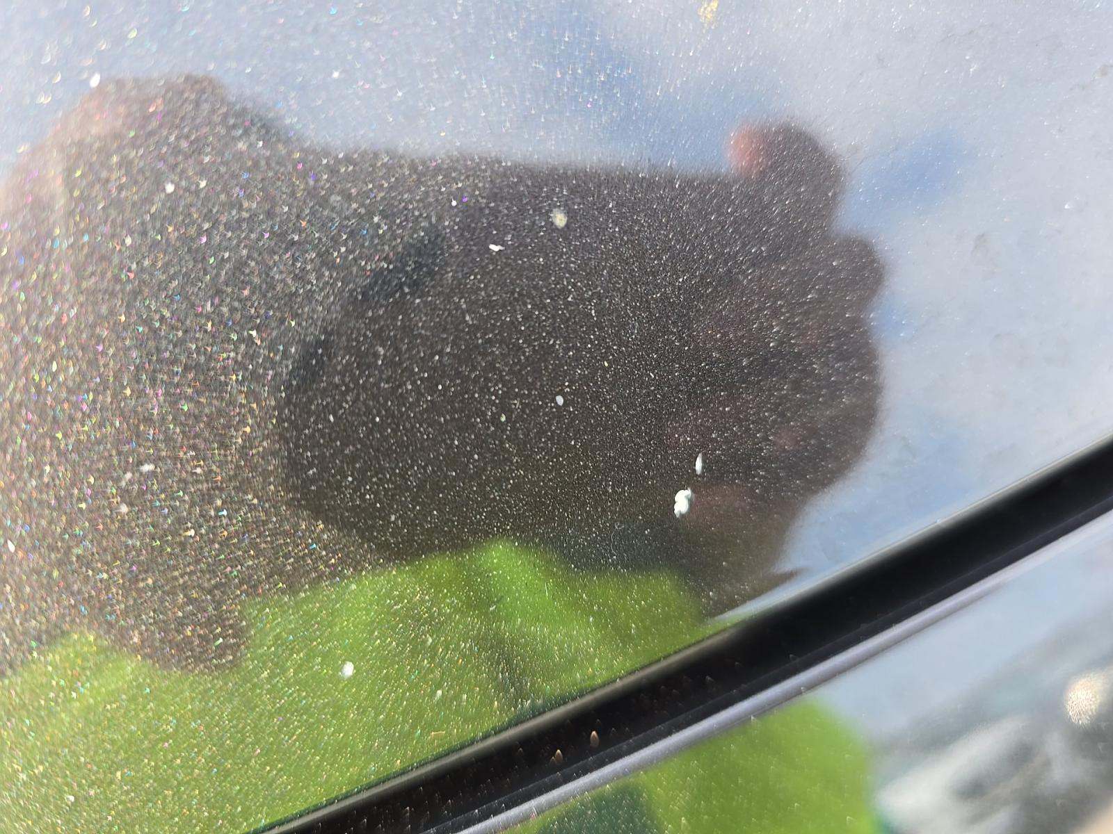 2019 Mercedes-Benz CLS AMG CLS 53 S AWD