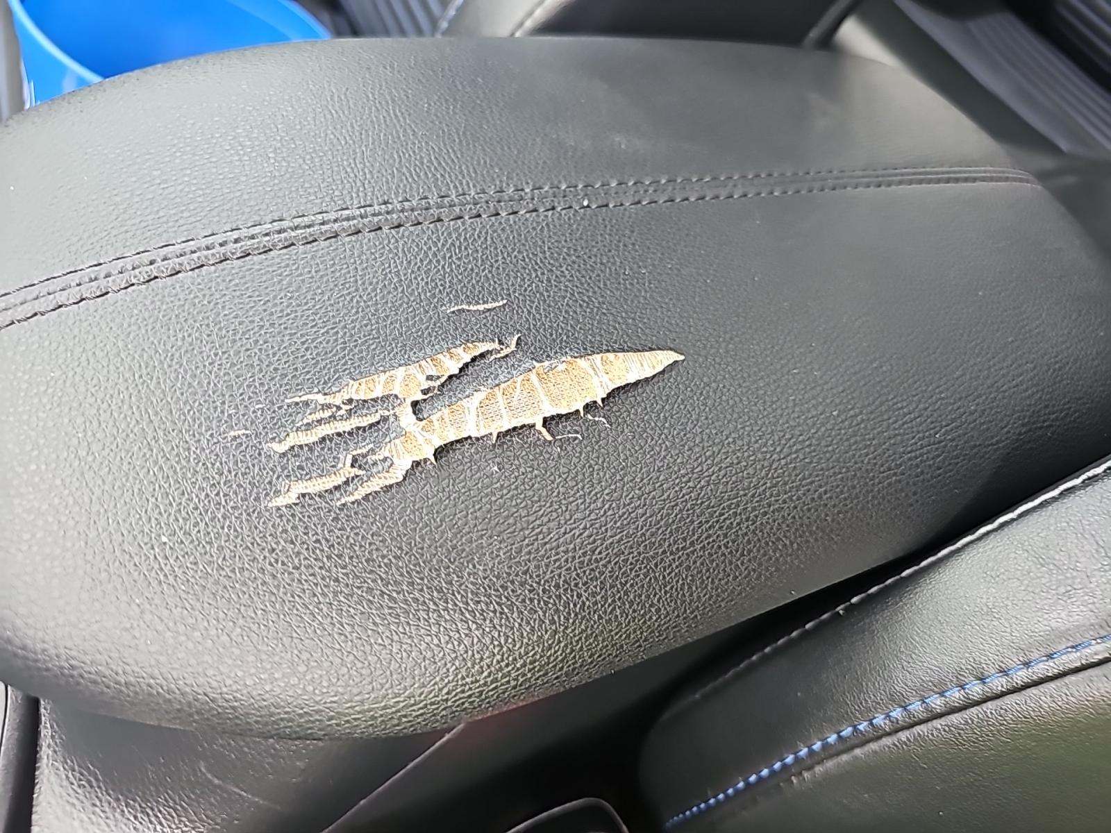 2021 Toyota RAV4 Hybrid XSE AWD