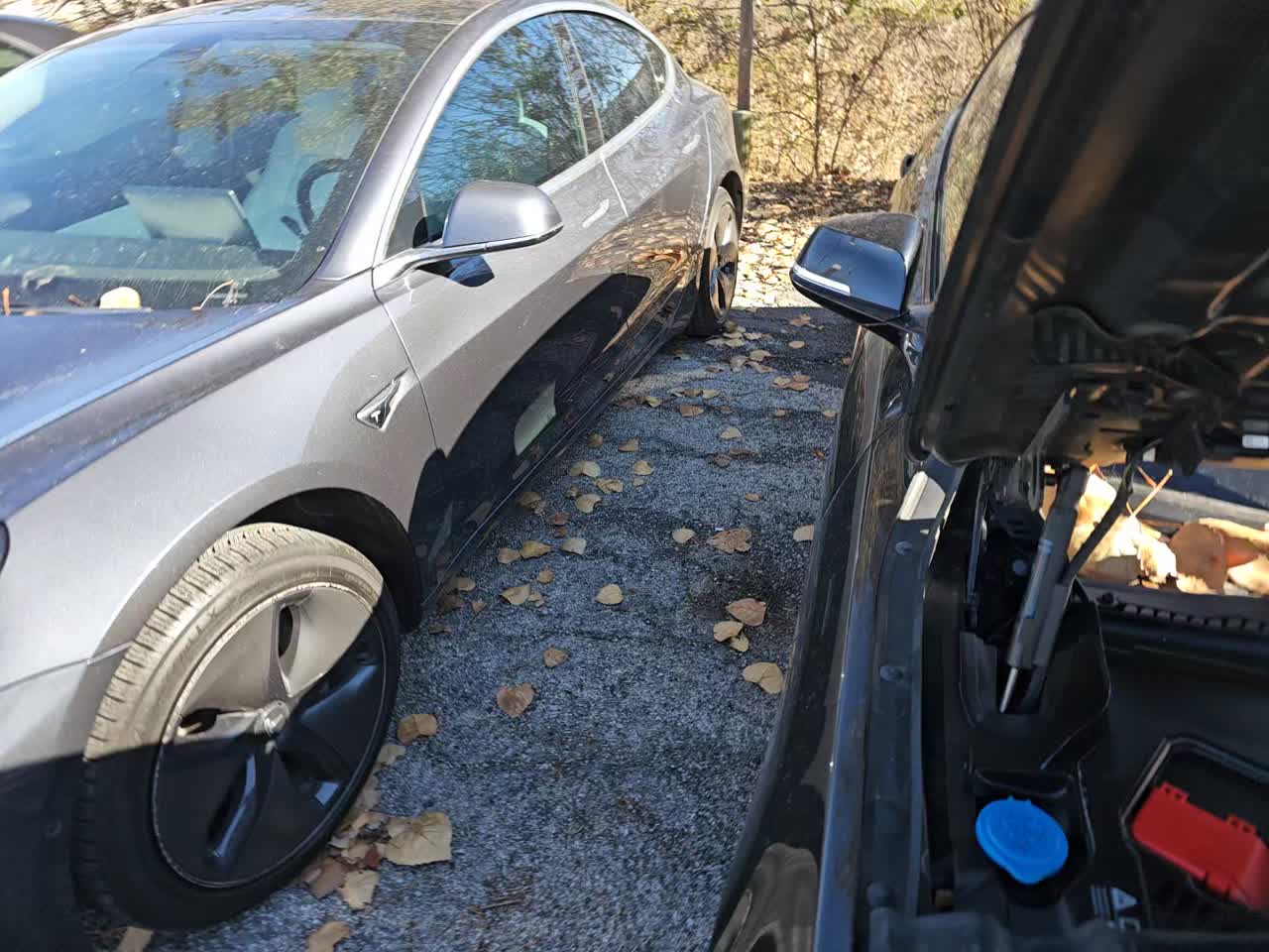 2019 BMW 4 Series 430i xDrive AWD