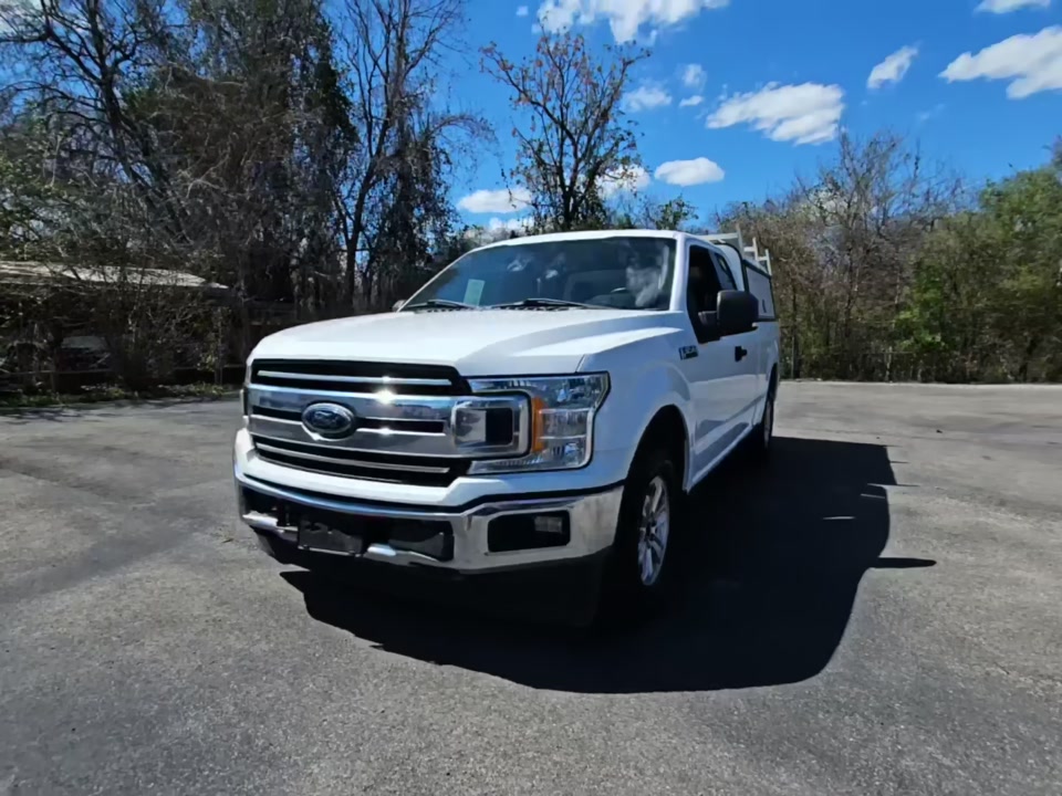 2019 Ford F-150 XLT RWD
