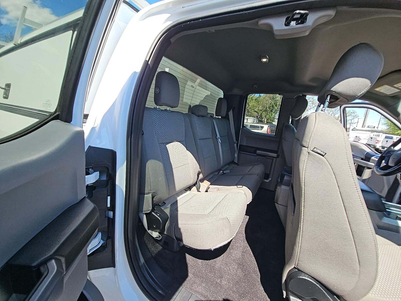 2019 Ford F-150 XLT RWD