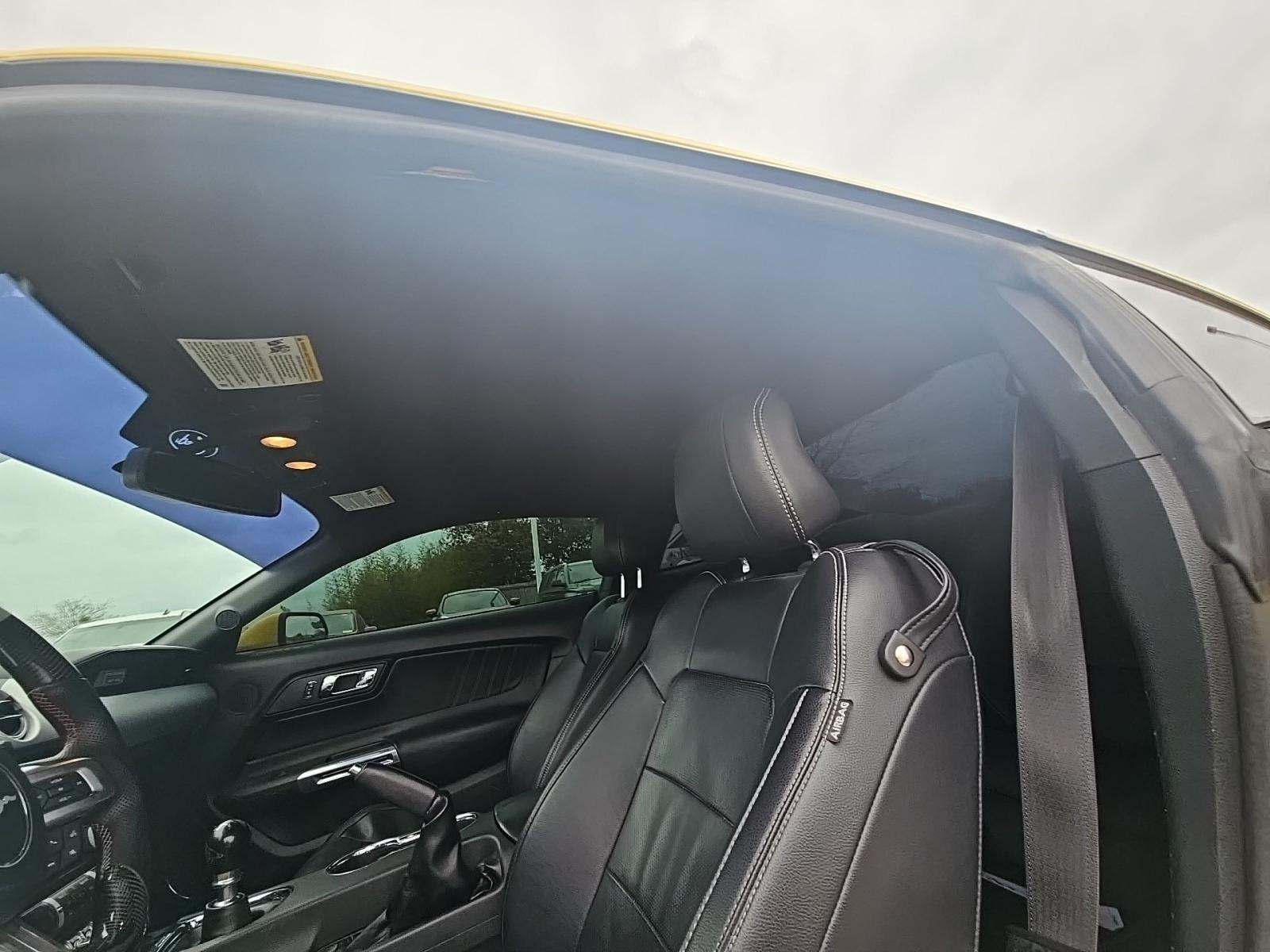 2015 Ford Mustang GT Premium RWD