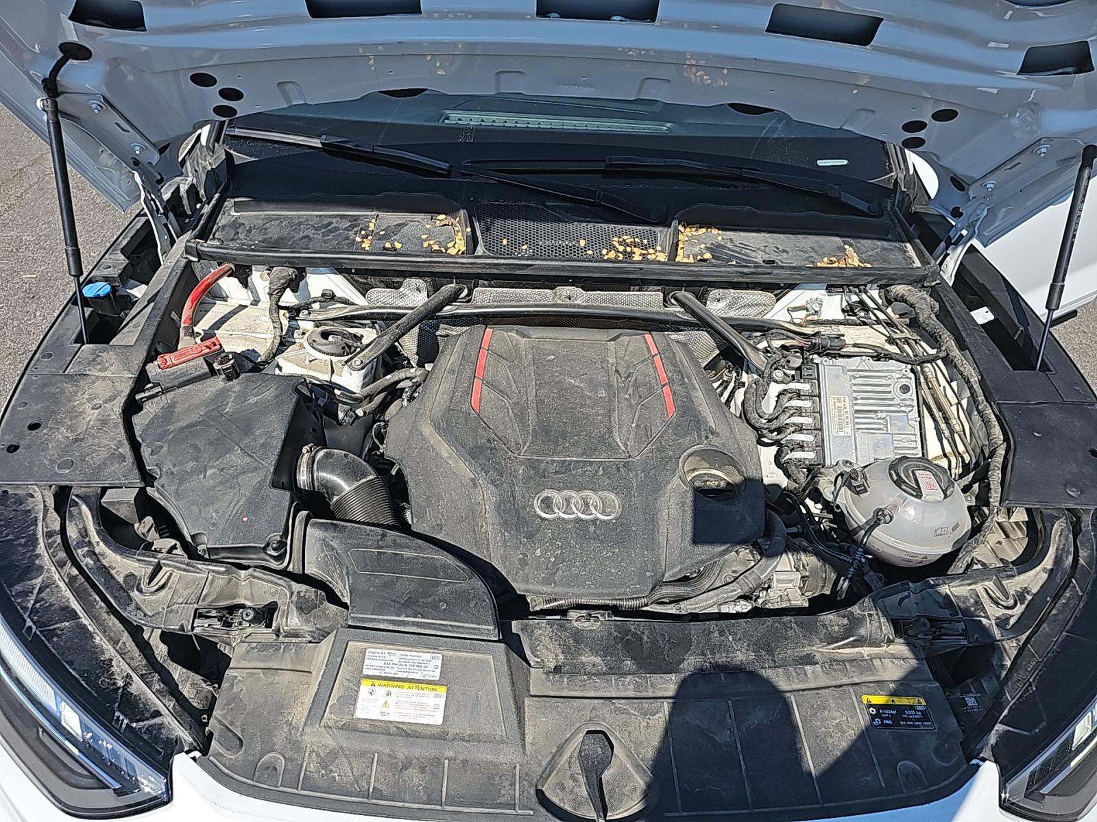 2023 Audi SQ5 Premium Plus AWD