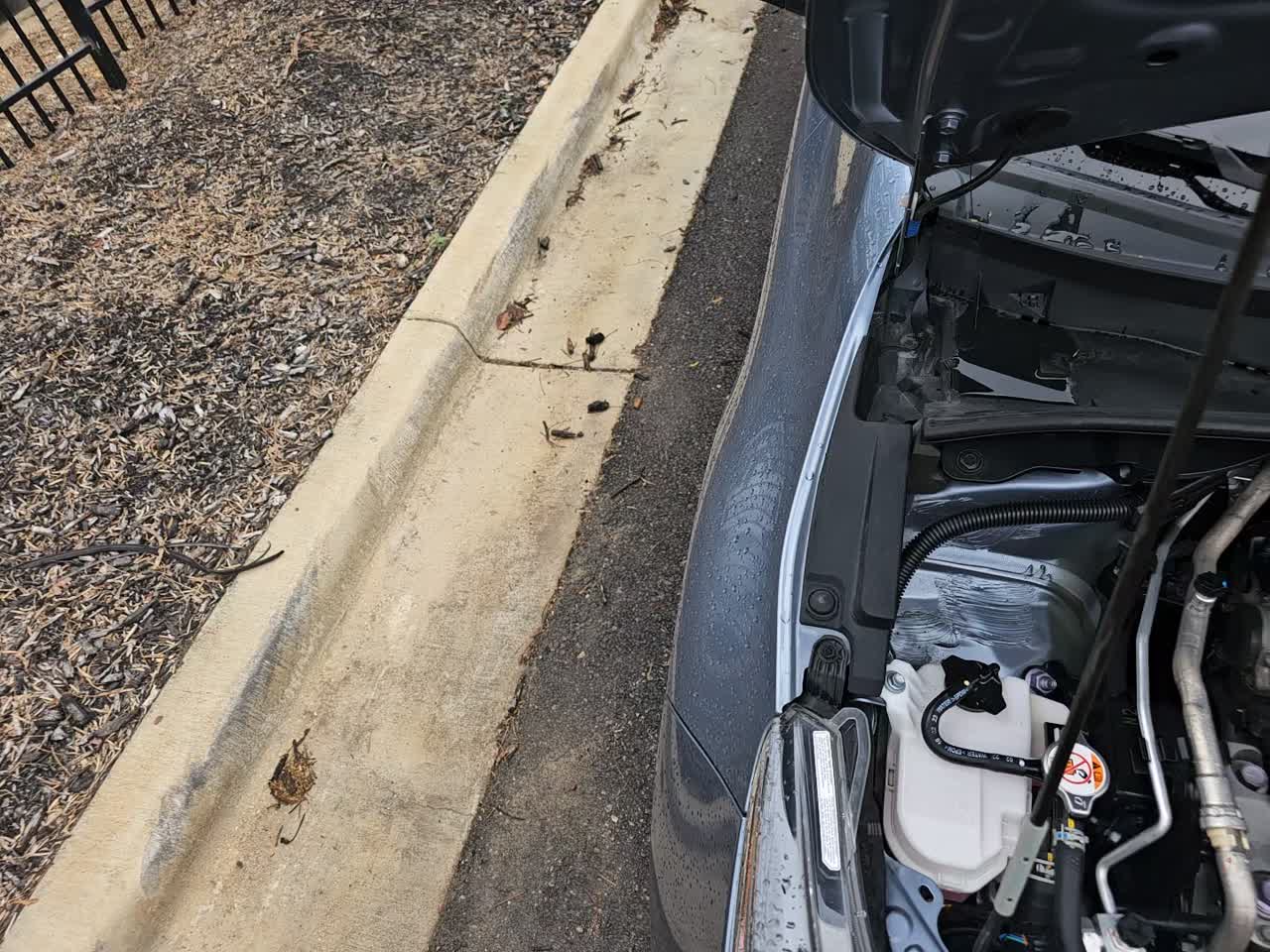 2024 Toyota Corolla LE FWD