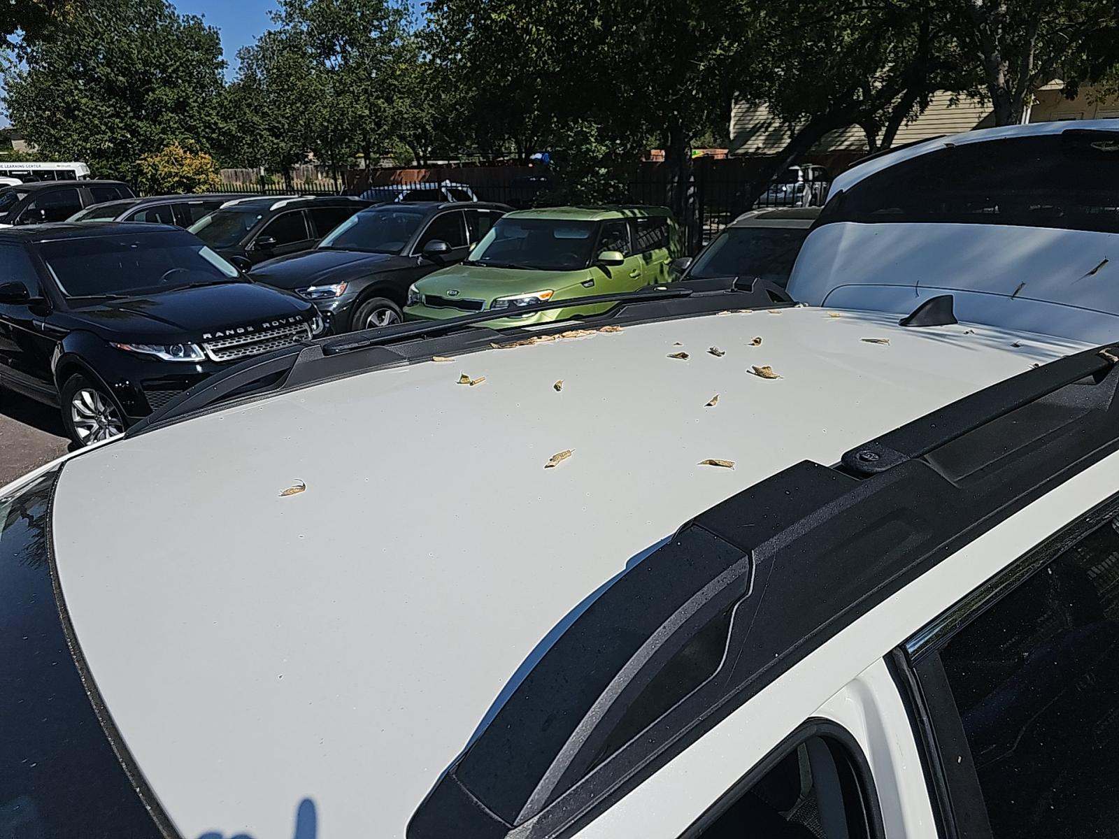 2023 Subaru Outback Premium AWD