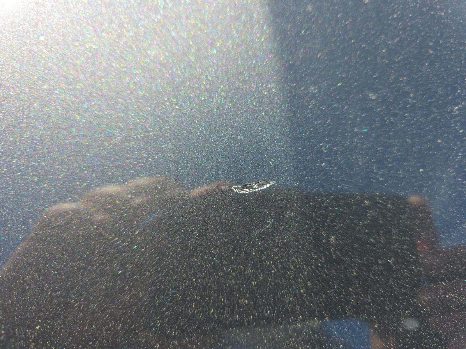 2024 Mercedes-Benz GLC GLC 300 RWD