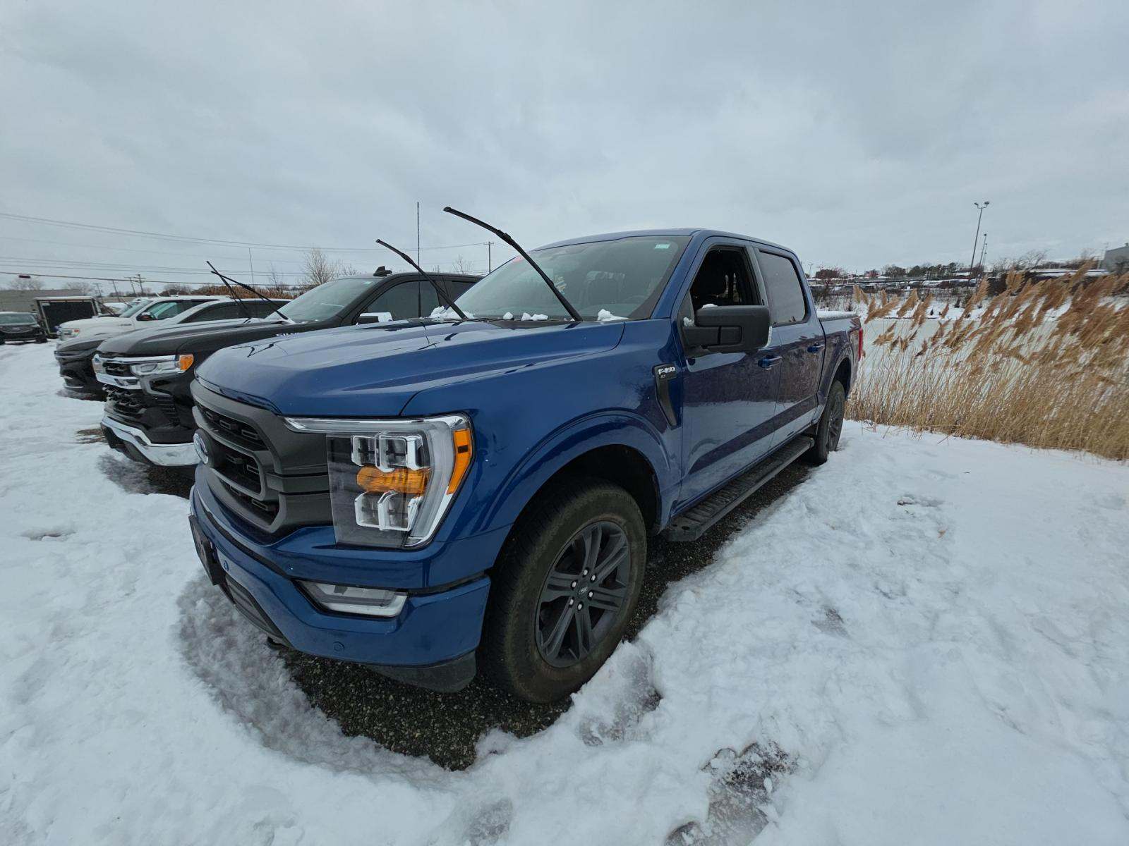 2023 Ford F-150 XLT AWD