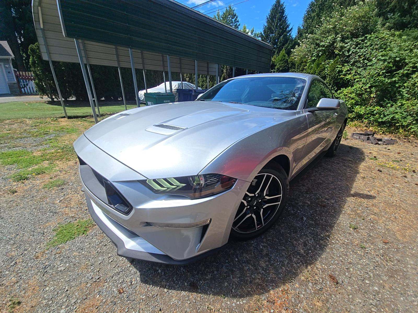 2019 Ford Mustang EcoBoost RWD
