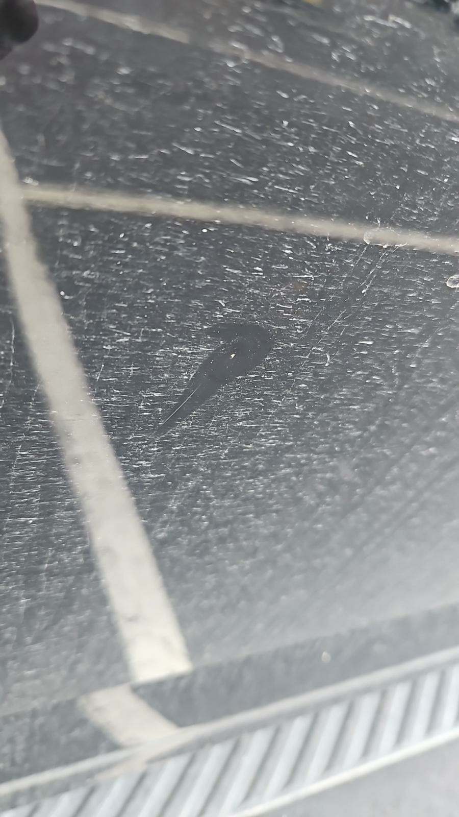 2016 Ford F-150 XLT AWD