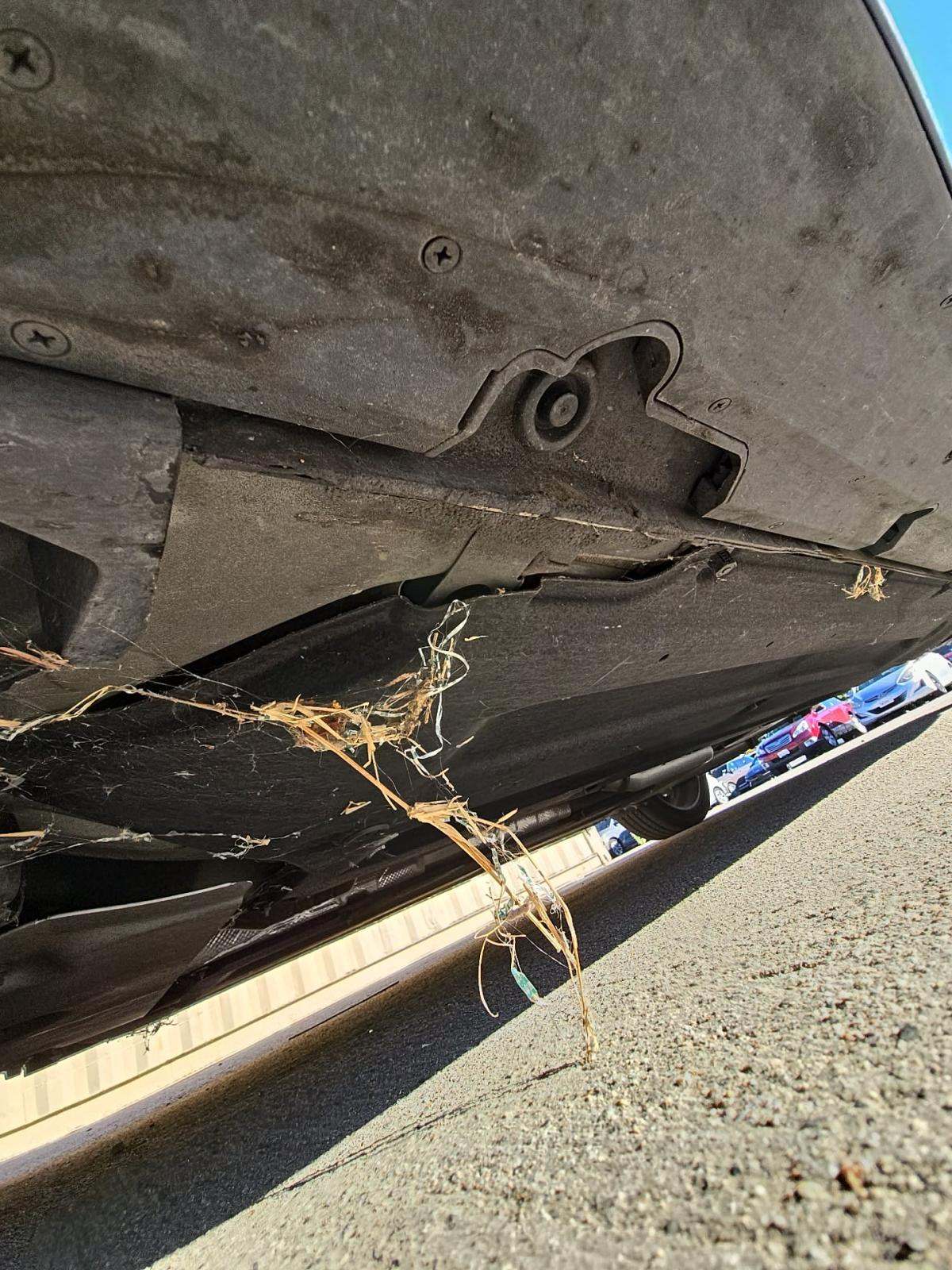 2024 Hyundai Elantra N Line FWD