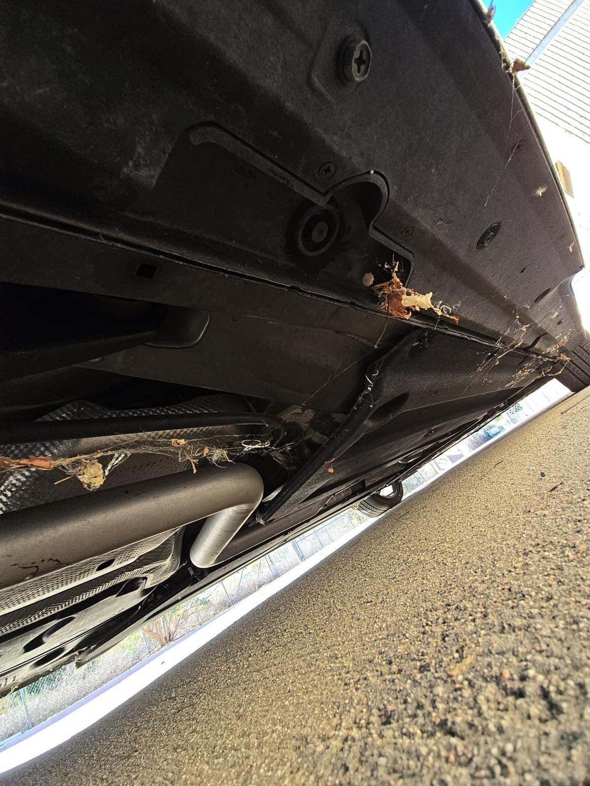 2024 Hyundai Elantra N Line FWD