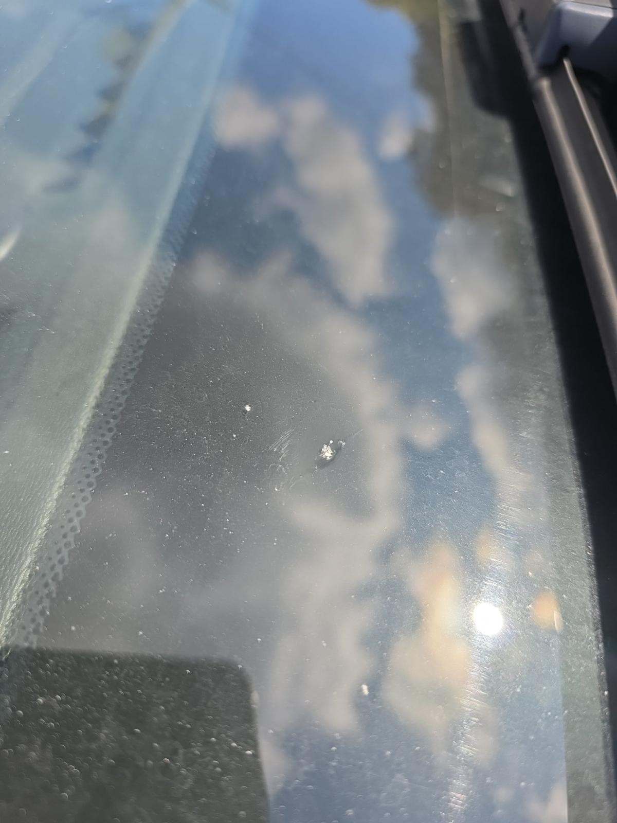 2019 Volvo XC60 T5 Momentum FWD