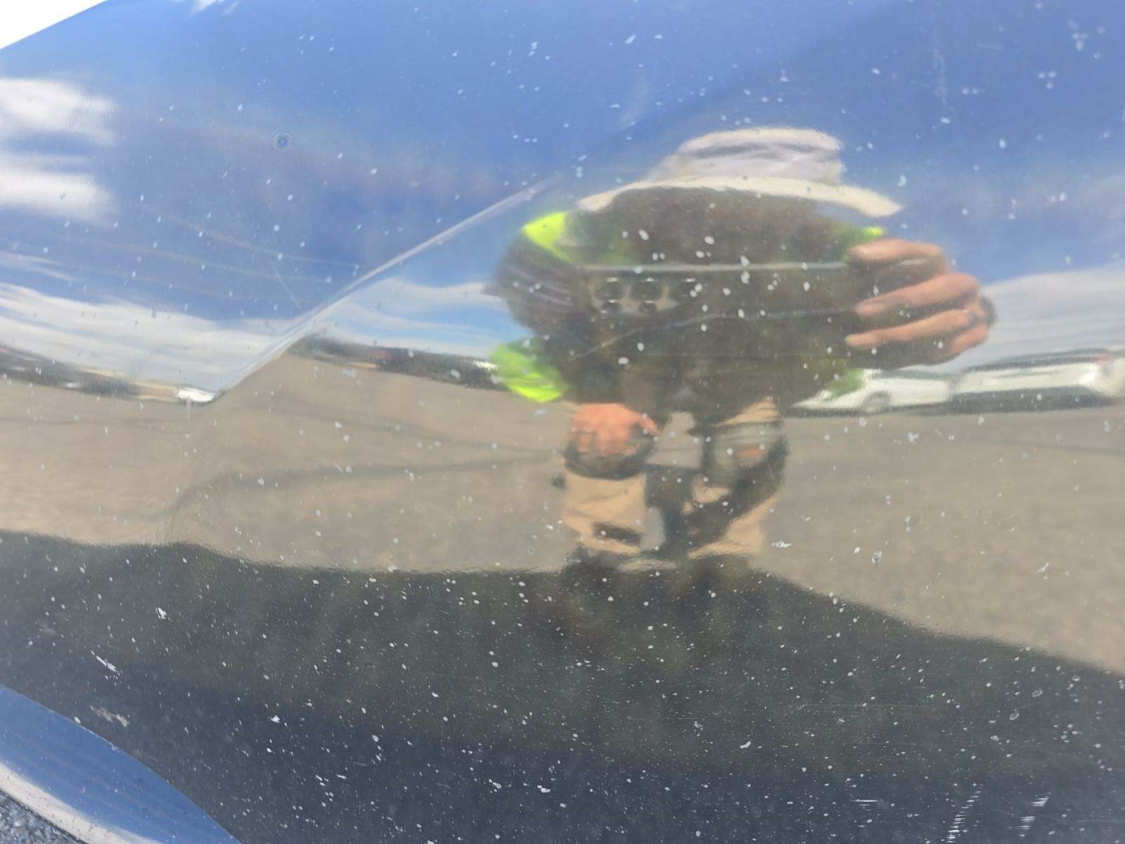 2017 Toyota Sienna XLE FWD