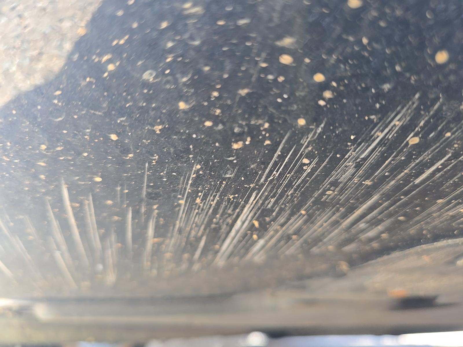 2016 Audi S4 Premium Plus AWD