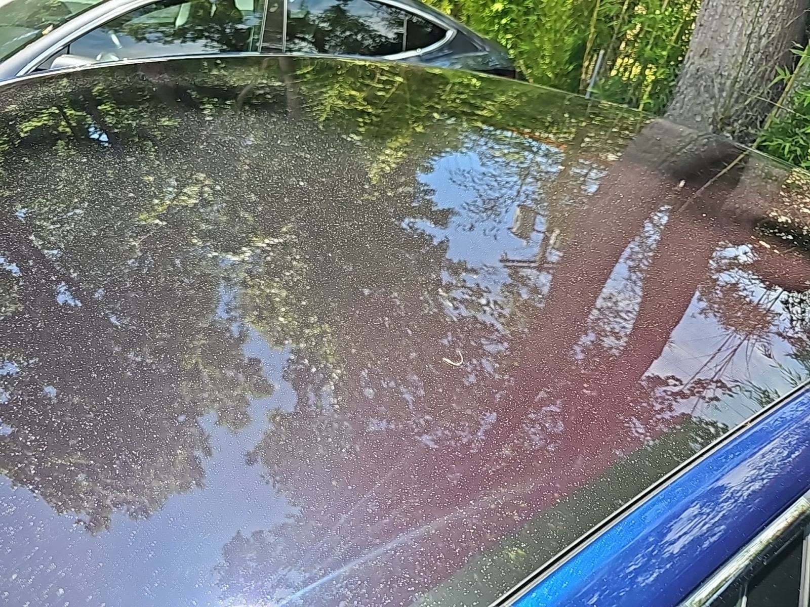 2017 Tesla Model S 75D AWD