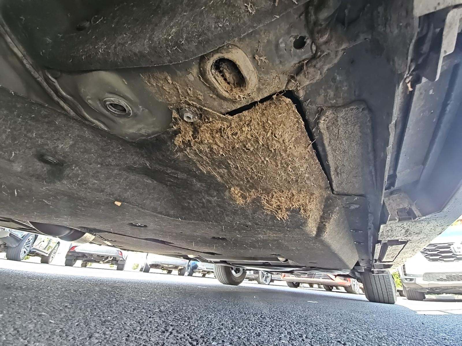 2024 Toyota Sienna LE FWD