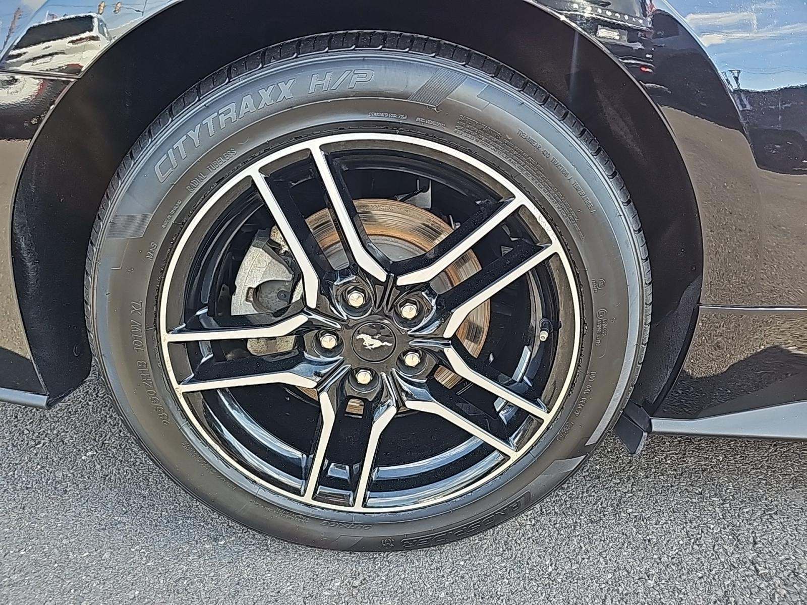 2023 Ford Mustang EcoBoost Premium RWD