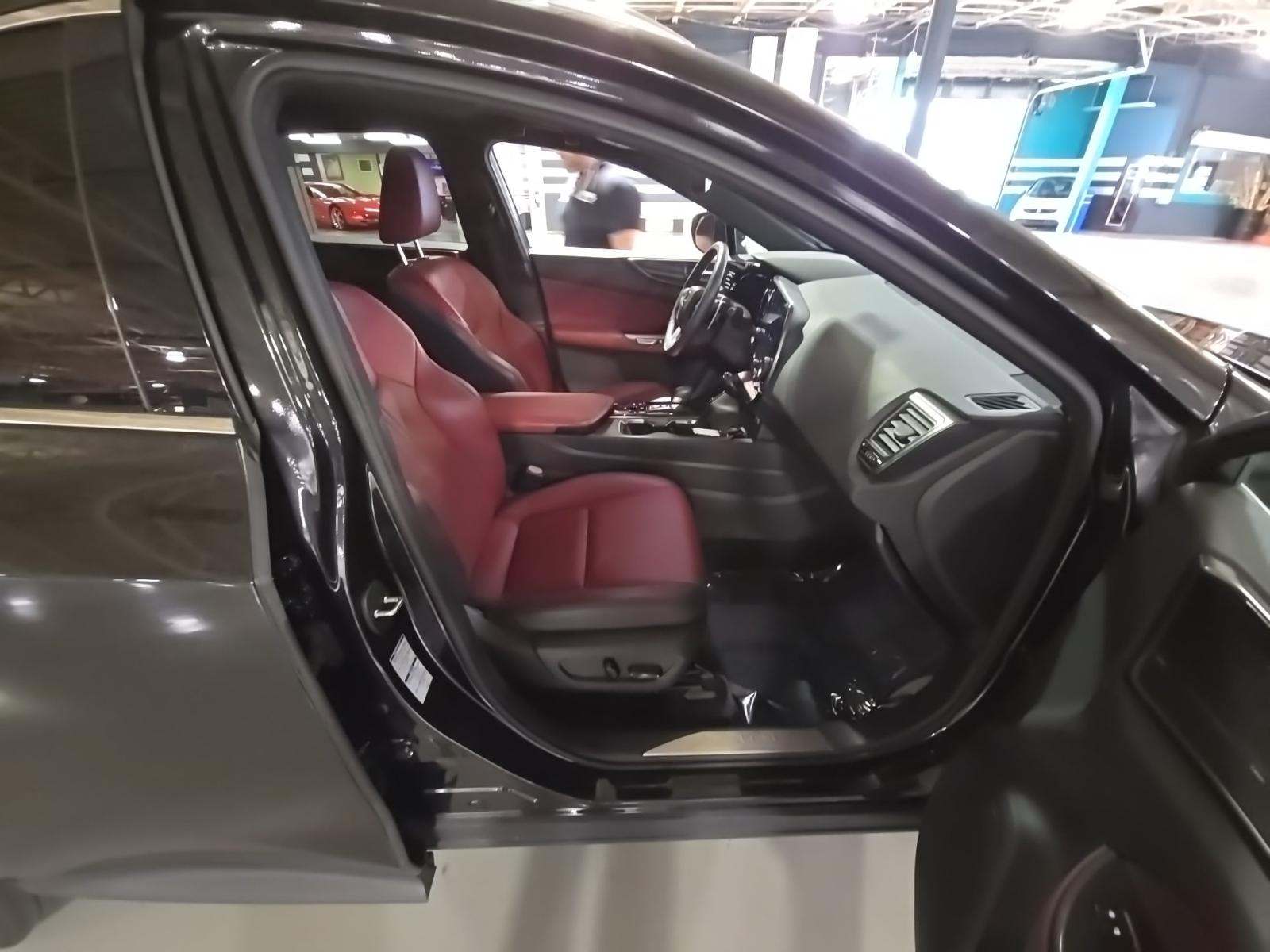 2022 Lexus NX NX 250 AWD