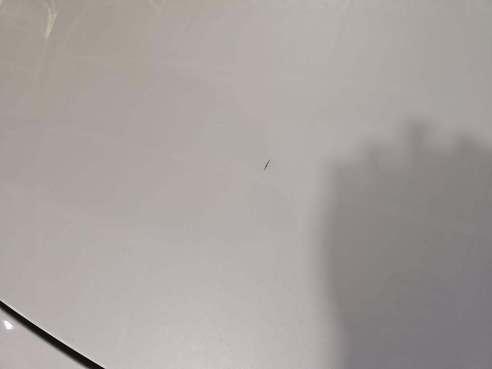 2015 BMW M3 Base RWD