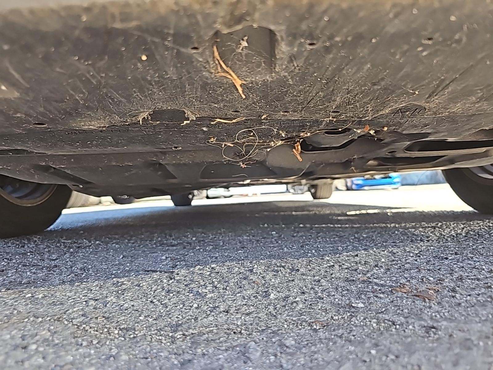 2015 Toyota Prius Two FWD